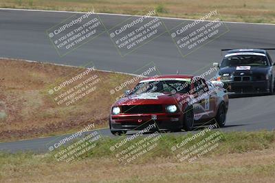 media/May-04-2024-Lucky Dog Racing (Sat) [[d39539b3f3]]/Race Pics/1015am (Turn 2)/